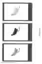 Fig. 27 - SYSTEM FOR REFERRING TO AND/OR EMBEDDING POSTS WITHIN OTHER POST AND POSTS WITHIN ANY PART OF ANOTHER POST