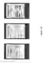 Fig. 51 - SYSTEM FOR REFERRING TO AND/OR EMBEDDING POSTS WITHIN OTHER POST AND POSTS WITHIN ANY PART OF ANOTHER POST