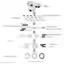 Fig. 01 - METHOD AND DEVICE FOR ANALYZING MICROBIAL COMMUNITY COMPOSITION
