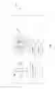 Fig. 02 - Flash detection