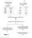 Fig. 04 - PROPENSITY MULTIPLIER FOR CUSTOMER MESSAGE AND OPPORTUNITY MANAGEMENT