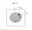 Fig. 04 - Tomography apparatus and method for reconstructing tomography image thereof