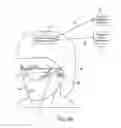 Fig. 08 - VARYING PIXEL SIZE BASED ON LINE PITCH FOR AUGMENTED OR VIRTUAL REALITY