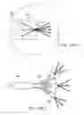 Fig. 52 - COUPLING PHASE MODULATORS TO OPTICAL FIBERS FOR AUGMENTED OR VIRTUAL REALITY