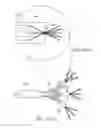 Fig. 52 - MODULATING LIGHT ASSOCIATED WITH IMAGE DATA THROUGH PHASE MODULATORS FOR AUGMENTED OR VIRTUAL REALITY