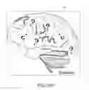 Fig. 20 - Regulated games: multi-act games
