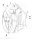 Fig. 10 - Security tag with magnetic gate