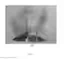 Fig. 22 - METHOD OF CREATING A VISUAL ARTISTIC COMPOSITION
