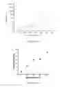 Fig. 07 - Polydimethylsiloxane (PDMS) Based Composite and Synthesis Method Thereof