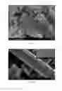 Fig. 02 - Method for preparing carbon nanofiber composite and carbon nanofiber composite prepared thereby