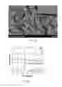 Fig. 04 - Method for preparing carbon nanofiber composite and carbon nanofiber composite prepared thereby