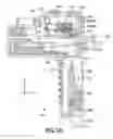 Fig. 06 - Workpiece transport and positioning apparatus