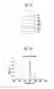 Fig. 09 - Organic light emitting display