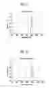 Fig. 10 - Organic light emitting display