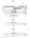 Fig. 02 - ORGANIC LIGHT EMITTING DISPLAY AND METHOD OF MANUFACTURING THE SAME