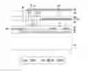 Fig. 01 - Organic light emitting display device
