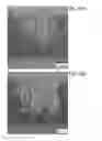 Fig. 41 - Semiconductor film, transistor, semiconductor device, display device, and electronic appliance