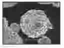 Fig. 01 - Positive active material, preparing method thereof, positive electrode for lithium secondary battery including the same, and lithium secondary battery employing the same