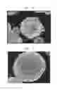 Fig. 02 - Positive active material, preparing method thereof, positive electrode for lithium secondary battery including the same, and lithium secondary battery employing the same