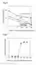 Fig. 04 - Control device of fuel cell, fuel cell system and control method of fuel cell