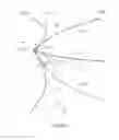 Fig. 02 - Antenna with diverging antenna elements
