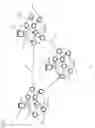 Fig. 02 - Software defined networking (SDN) specific topology information discovery