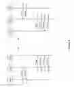 Fig. 07 - Method and system for communication between machine to machine M2M service provider networks