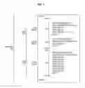 Fig. 02 - Object distribution in advanced function presentation environments