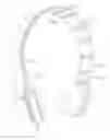 Fig. 01 - Headphones and headsets