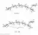 Fig. 02 - Chitooligosaccharides and methods for use in enhancing plant growth