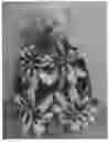 Fig. 01 - Body fitting towel