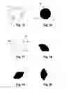 Fig. 06 - ASSEMBLABLE COSMETIC APPLICATOR