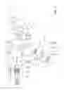 Fig. 02 - Ophthalmologic imaging apparatus and optical unit attachable to the same