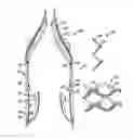 Fig. 01 - Everting Heart Valve