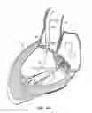 Fig. 08 - Everting Heart Valve