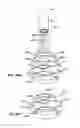 Fig. 43 - Everting Heart Valve