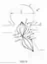 Fig. 09 - Vascular remodeling device