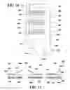 Fig. 08 - Fastener for an absorbent article