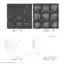 Fig. 06 - PHARMACEUTIC OSMOTIC PUMP PREPARATION