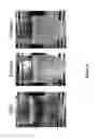 Fig. 03 - Lipid membrane structure including bacterial cell component having dispersibility in non-polar solvent, and method for producing same