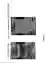 Fig. 04 - Lipid membrane structure including bacterial cell component having dispersibility in non-polar solvent, and method for producing same