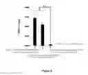 Fig. 09 - Lipid membrane structure including bacterial cell component having dispersibility in non-polar solvent, and method for producing same