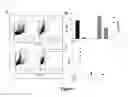 Fig. 08 - Combinations of a caspase inhibitor and an antiviral agent