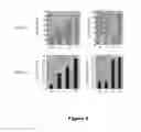Fig. 09 - Combinations of a caspase inhibitor and an antiviral agent