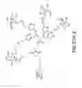 Fig. 131 - Tetragalnac and peptide containing conjugates and methods for delivery of oligonucleotides