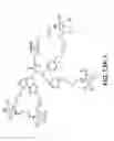 Fig. 53 - Tetragalnac and peptide containing conjugates and methods for delivery of oligonucleotides