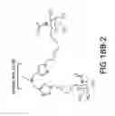 Fig. 74 - Tetragalnac and peptide containing conjugates and methods for delivery of oligonucleotides