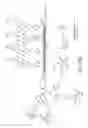 Fig. 77 - Tetragalnac and peptide containing conjugates and methods for delivery of oligonucleotides