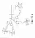Fig. 80 - Tetragalnac and peptide containing conjugates and methods for delivery of oligonucleotides