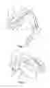 Fig. 02 - Laryngeal mask
